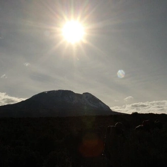 tourhub | Jee Tours | Kilimanjaro 10 Days Trek Northern Circuit Route 