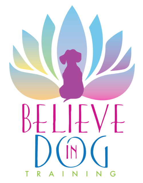 Believe In Dog Training Scholarship Fund logo