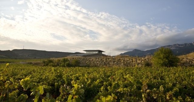 Tour de vinos Rioja: 2 Bodegas desde Bilbao en Semi-Privado con Recogida - Acomodações em Bilbau 