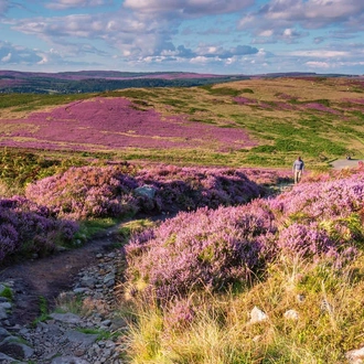 tourhub | Explore! | Walk Northumberland 