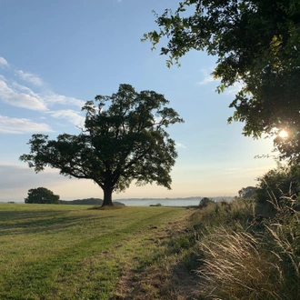 tourhub | Adventure Tours UK | Self-guided Offa's Dyke Path: North 