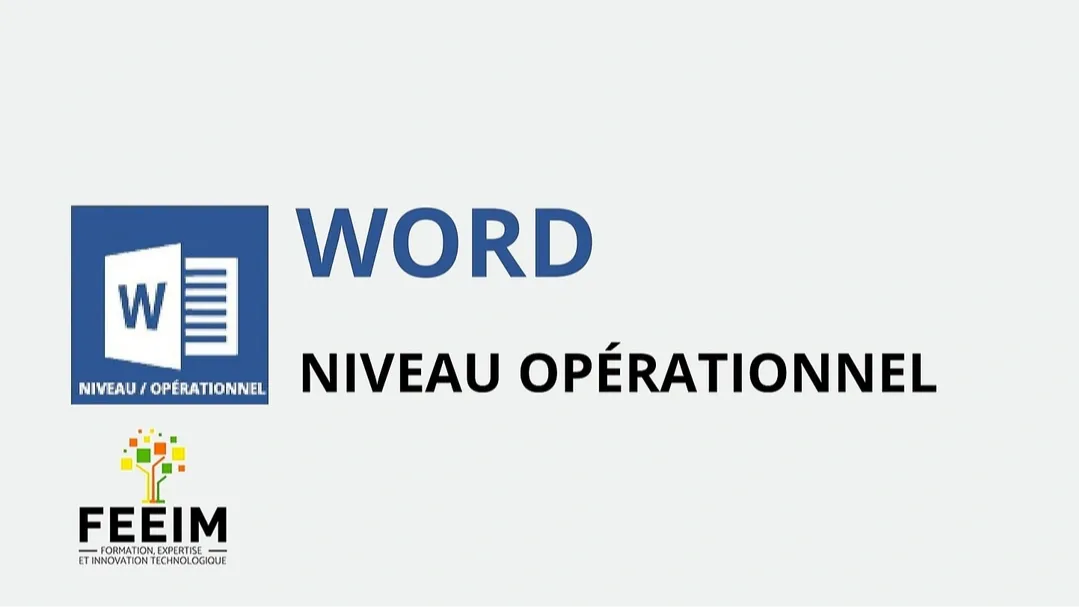 Représentation de la formation :  Bureautique Word - Visio (Intermédiaire) 