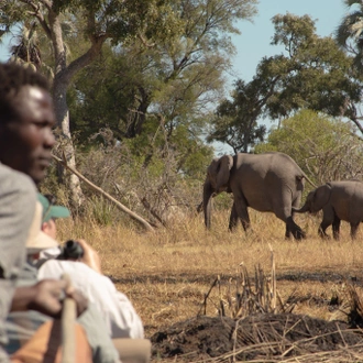 tourhub | Exodus Adventure Travels | Wildlife & Wilderness of Botswana 