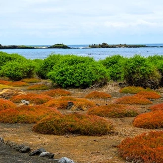 tourhub | Bamba Travel | Galapagos Island Hopping Adventure 5D/4N 