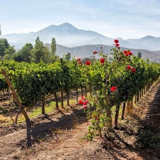 tourhub | Signature DMC | 7-Days Unique Experience visiting the best Chilean & Argentinean Wine Valleys! 