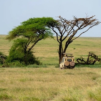 tourhub | Akondo Adventures | 5-Day Affordable Northern Tanzania Safari 