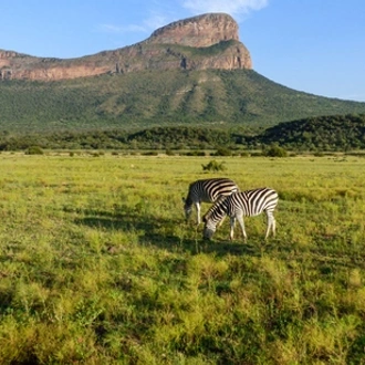 tourhub | Saga Holidays | South African Safari Adventure 