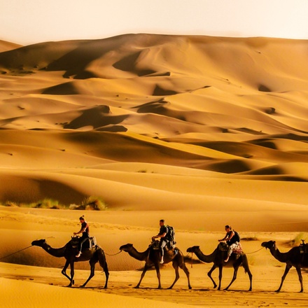 3 days Gateway to the Sahara desert – from and back to Marrakech