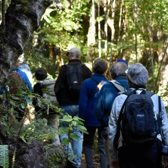 tourhub | World Expeditions | Unseen Stewart Island 