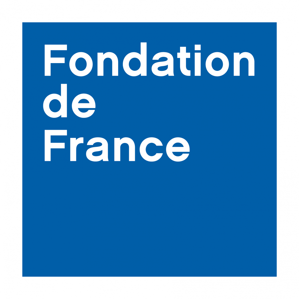 Friends of Fondation de France logo