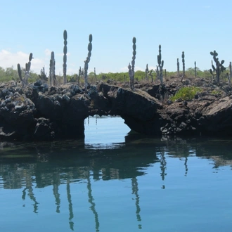 tourhub | Latin Adventures | 5-Day Galapagos Island Hopping - Santa Cruz & Isabela 