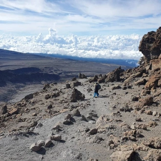 tourhub | Horizon Seeker Adventure | 6 days Kilimanjaro Machame route Group Joining 