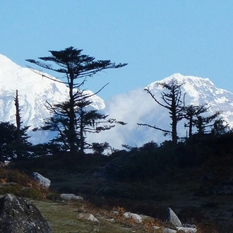 tourhub | Bhutan Acorn Tours & Travel | Bhutan Majestic Jomolhari Basecamp Loop Trek 