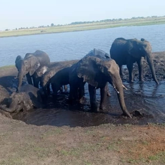 tourhub | Livingstone Lourie Safari | Chobe 2 nights 