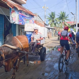 tourhub | Mr Biker Saigon | VIETNAM CYCLING TOUR - SAI GON TO HA NOI 