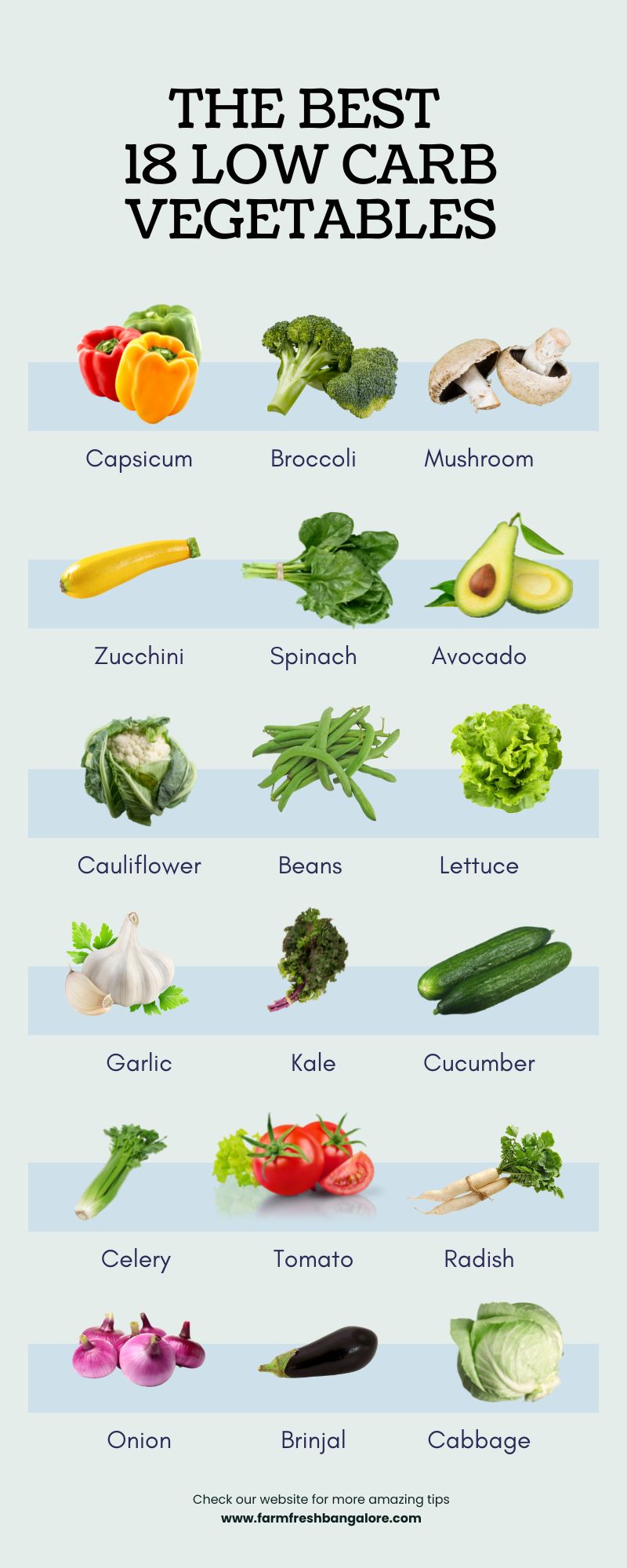 18 Low Carb Vegetables