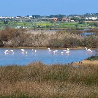 tourhub | Travel Editions | Spring Flowers and Natural Splendours of the Algarve Tour 