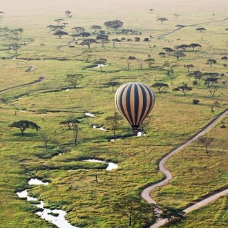 tourhub | Alaitol Safari | Great Migration Grumeti River 