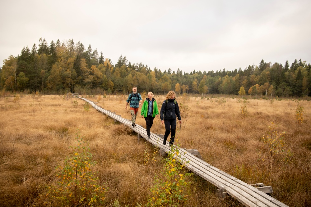 Tre personer går på rad på en spång vid en av Västmanlands vandringsleder.