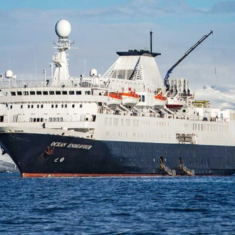 tourhub | Intrepid Travel | Best of Antarctica: Whale Journey (Ocean Endeavour)  