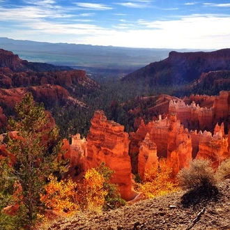 tourhub | Bindlestiff Tours | Private 11 Day National Parks Tour from Las Vegas to San Francisco via Yellowstone with Camping  