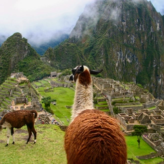 tourhub | Exodus Adventure Travels | Walking Machu Picchu - With Private Guide 