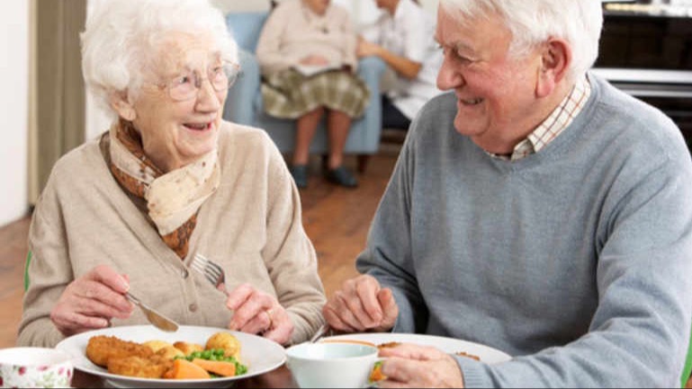 Représentation de la formation : Nutrition et alimentation de la personne âgée en ESSMS
