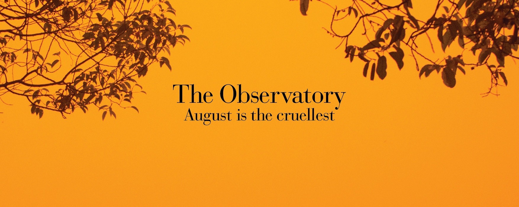 August is the cruellest - Album Launch