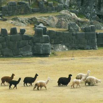 tourhub | TreXperience | Peru Travel to the Ancient Kingdoms 7 days 