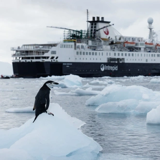 tourhub | Intrepid Travel | Journey to the Antarctic Circle (Ocean Endeavour) 