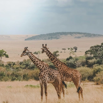 tourhub | Indogusto | Kenya | From Wildlife Wonders to Sandy Shores 