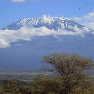 tourhub | Exodus Adventure Travels | Kilimanjaro Climb - Lemosho Route 