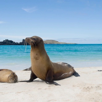 tourhub | Intrepid Travel | Best of Peru & Galapagos 