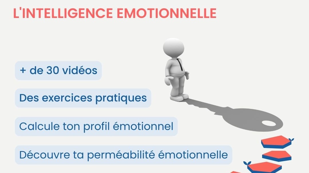 Représentation de la formation : L'intelligence émotionnelle :  acteur du quotidien