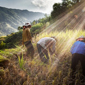 tourhub | Mr Linh's Adventures | 4-day Trekking in Ha Giang - Tay Con Linh  