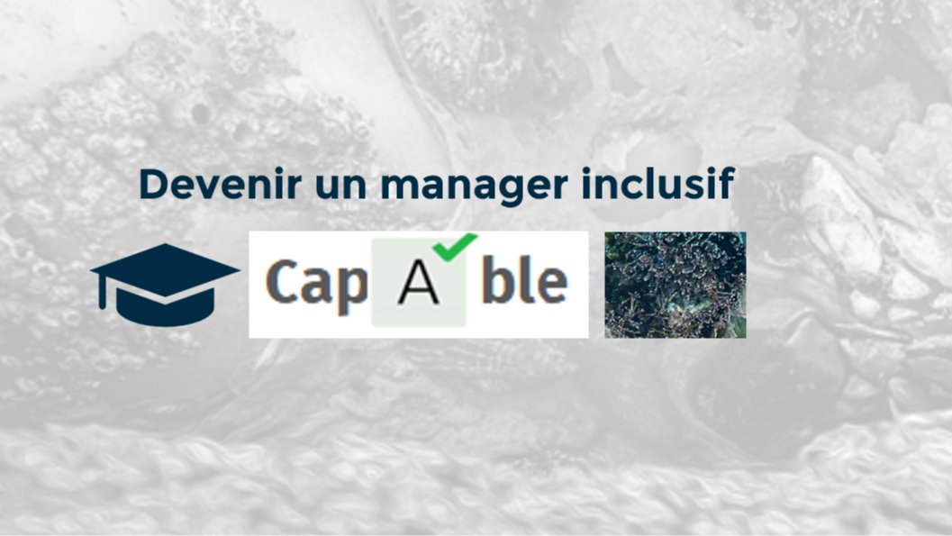 Représentation de la formation : Devenir un professionnel inclusif - Inter - EA ESAT SIAE