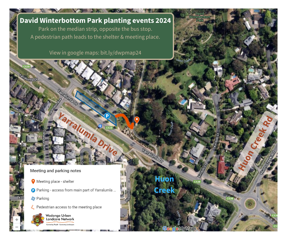 David Winterbottom Park community planting events