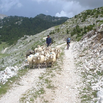 tourhub | SpiceRoads Cycling | Mountain Biking the Balkans 