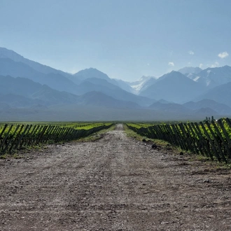 tourhub | Signature DMC | 4-Days Experiencing Mendoza - Secrets of Wine & Nature! 