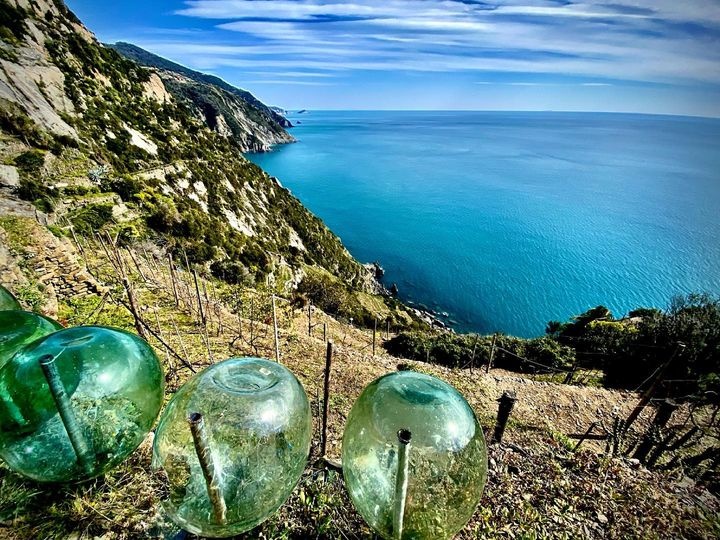 The “Vertical” Vineyards Tour in Riomaggiore, with Triple A Wines Tasting in Semi-Private - Acomodações em Cinque Terre