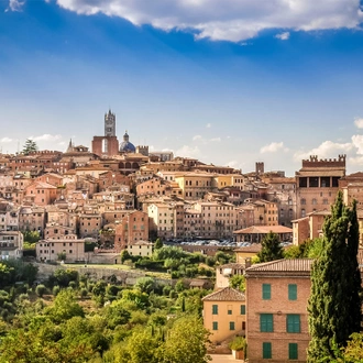 tourhub | G Adventures | Italy: Florence to Rome, Walking the Vineyards of Tuscany and Umbria 