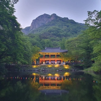 tourhub | Bamba Travel | South Korea Highlights 7D/6N 