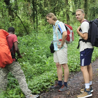 tourhub | Burigi Chato Safaris | 7 Days Kilimanjaro Mountain summit tour Via Machame route 