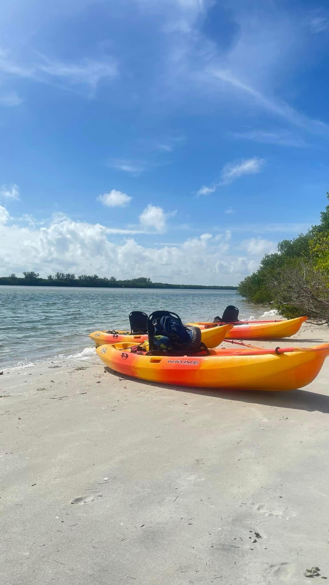 1.5 Hour Private Guided Kayak Tour