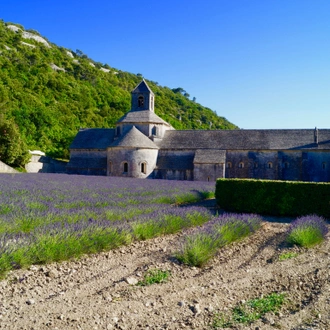 tourhub | Exodus Adventure Travels | Provence Velo Vin Voyage 