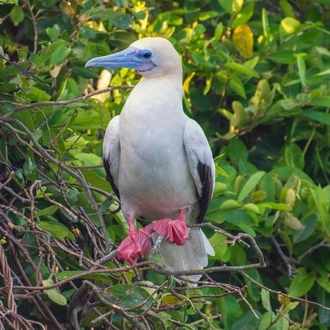 tourhub | Latin Trails | Galapagos Northern and Southern Islands Cruise 