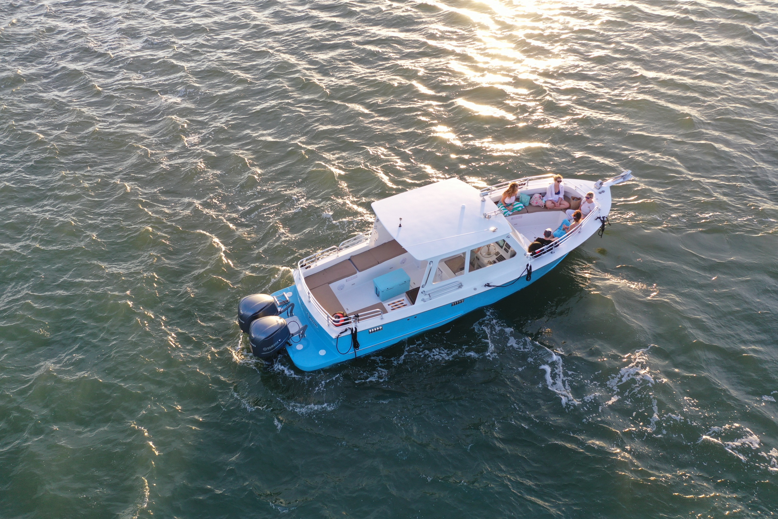 Morning Sightseeing and Dolphin Tour On The Dolphin Queen | Charleston Location