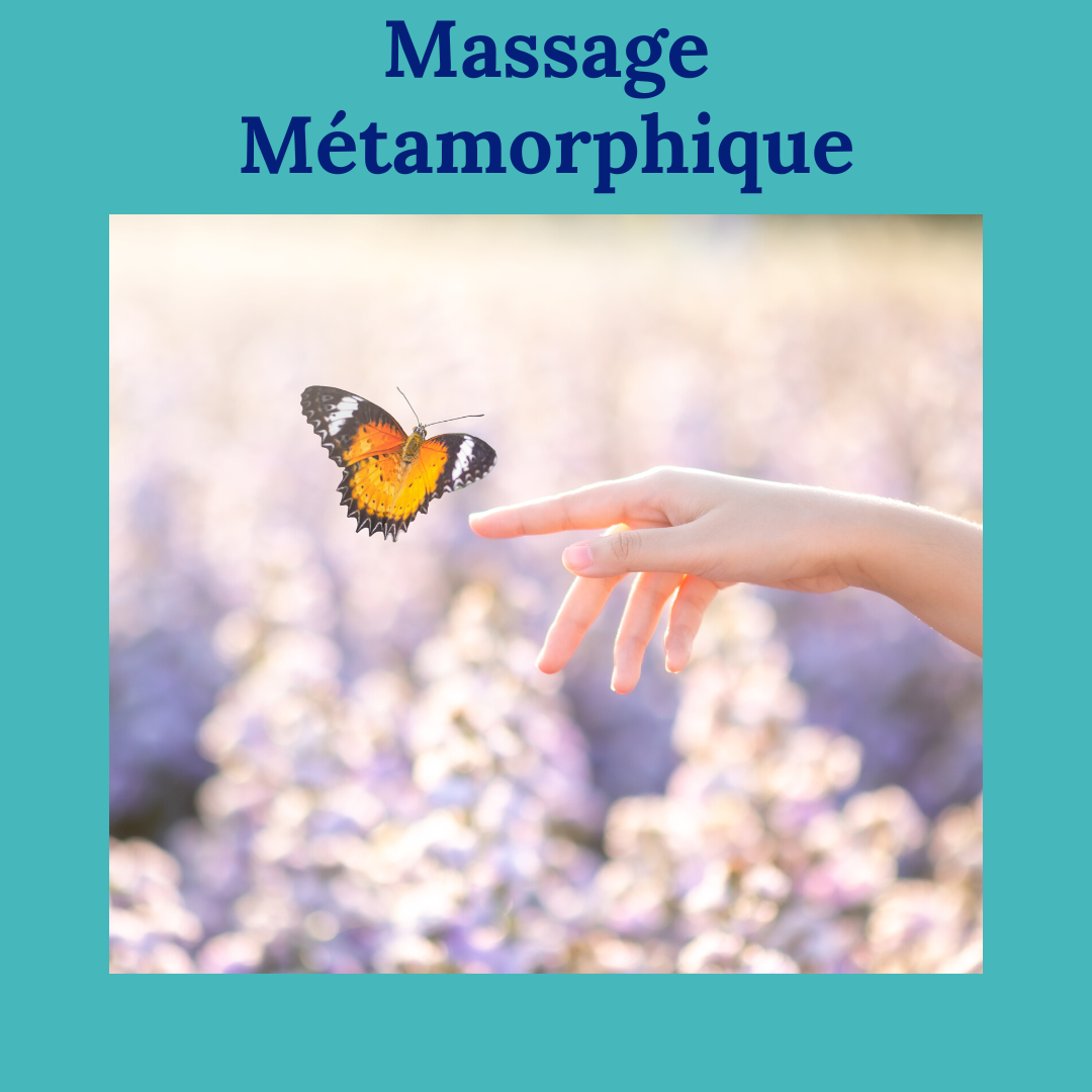 Représentation de la formation : Formation au Massage Métamorphique en présentiel