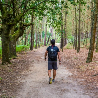 tourhub | G Adventures | Camino de Santiago Encompassed 