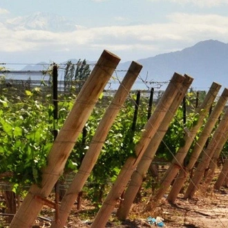 tourhub | Signature DMC | 3-Days Getaway for Wine lovers - Mendoza Experience! 